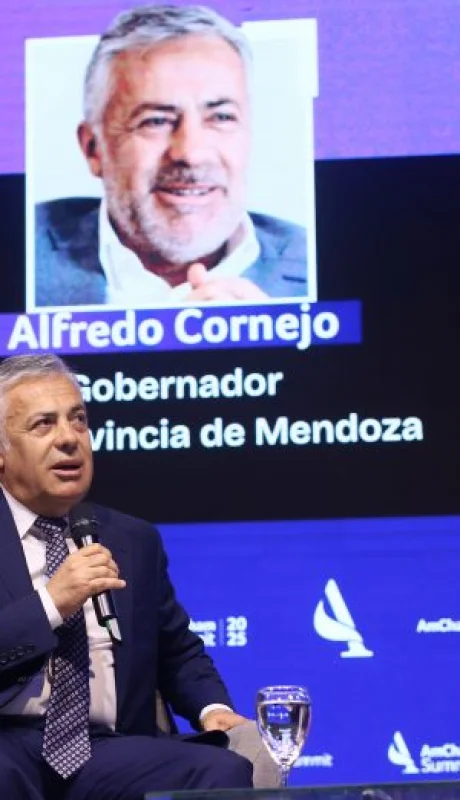 Gobernadores de Mendoza y Salta