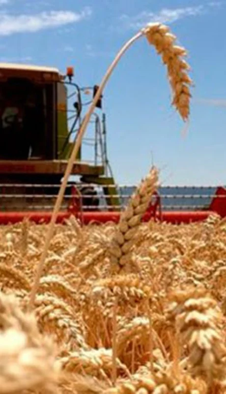 El PBI argentino tendría un aumento explosivo en 2026. (Foto: archivo web)