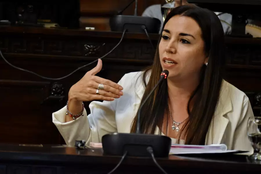 Diputada Cintia Gómez (PRO - LAUM).