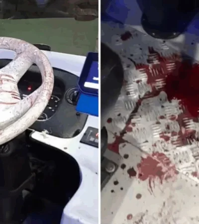 Video impactante: apuñalaron a un chofer en pleno recorrido y todo quedó grabado