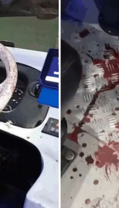 Video impactante: apuñalaron a un chofer en pleno recorrido y todo quedó grabado