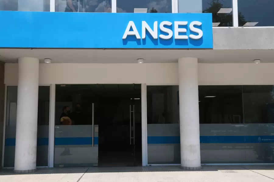 Importancia de ANSES