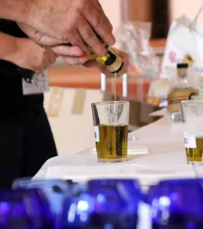 el Gobierno de Mendoza presentó oficialmente el Observatorio del Oleoturismo, /