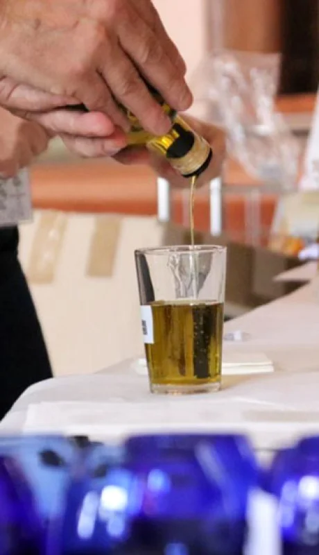 el Gobierno de Mendoza presentó oficialmente el Observatorio del Oleoturismo, /