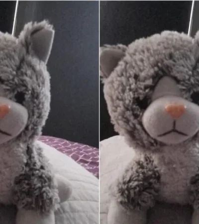 El oso de peluche de Ramiro, el chico con TEA/