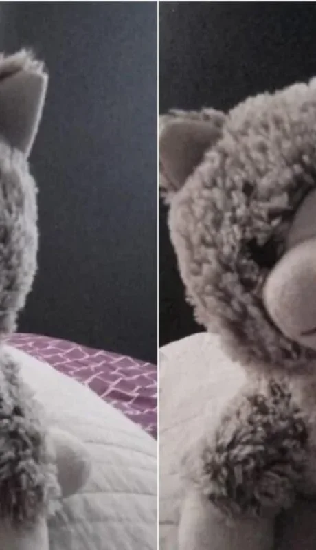 El oso de peluche de Ramiro, el chico con TEA/