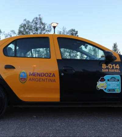 En un mes aumentarán los taxis en Mendoza/