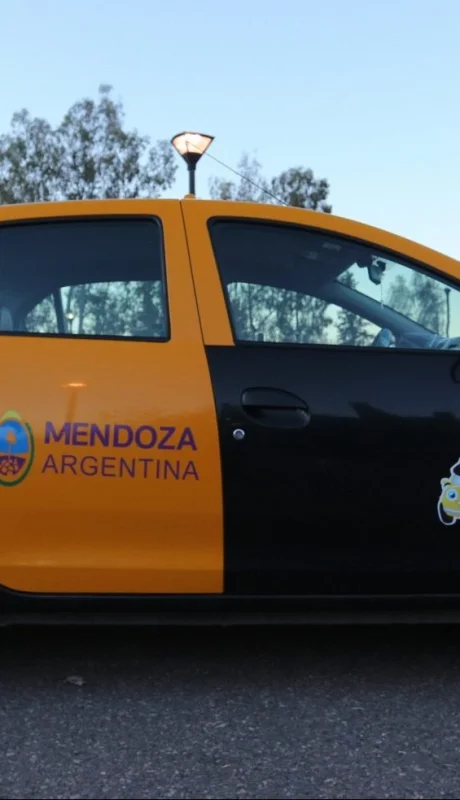 En un mes aumentarán los taxis en Mendoza/
