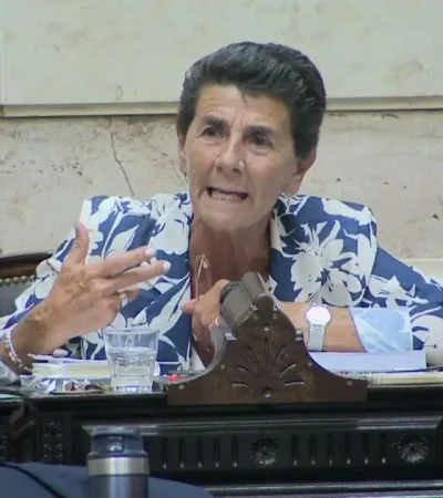 La diputada nacional tiró fuertes definiciones sobre la interna del partido. (Foto: imagen web)