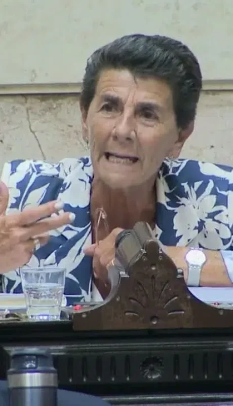 La diputada nacional tiró fuertes definiciones sobre la interna del partido. (Foto: imagen web)