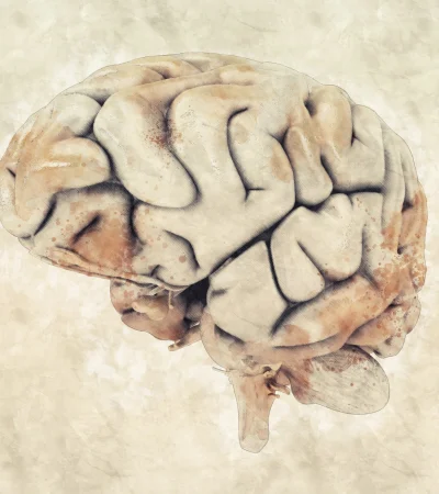 Qué pasa en el cerebro cuando el corazón se detiene, según Conrado Estol.