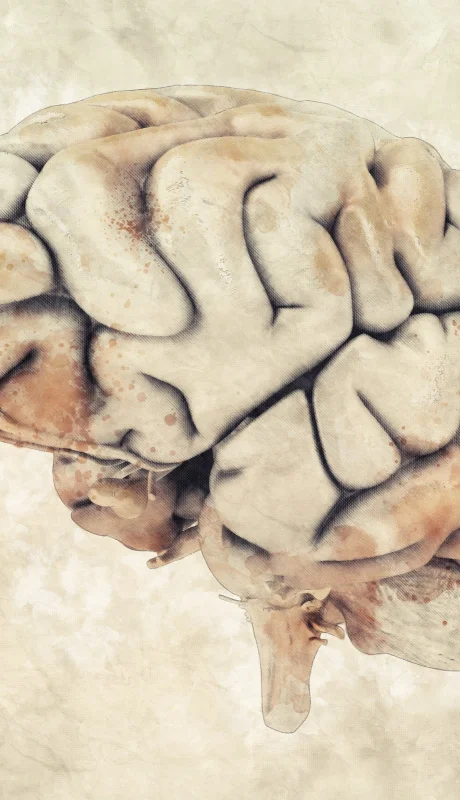 Qué pasa en el cerebro cuando el corazón se detiene, según Conrado Estol.