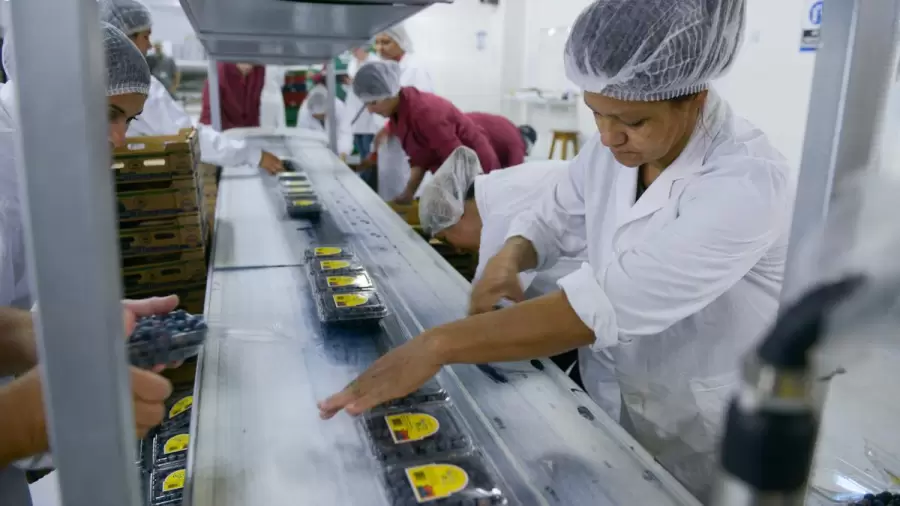 La caída deñ consumo afecta al sector