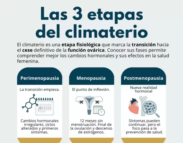 Las tres etapas del climaterio: perimenopausia, menopausia y postmenopausia.
