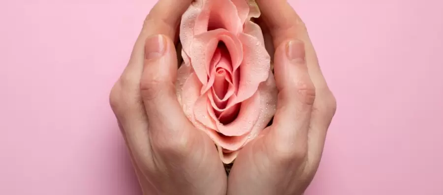 Seguramente todos hemos escuchado que nuestras mamás, primas, amigas o nosotras estamos llegando o cursando por un periodo de menopausia.