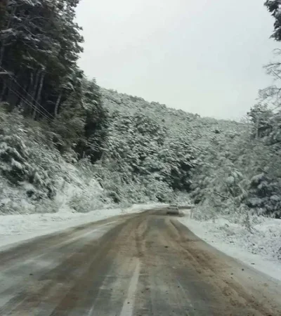 Nevadas en Mendoza: rutas cortadas y extrema precaución en zonas de montaña