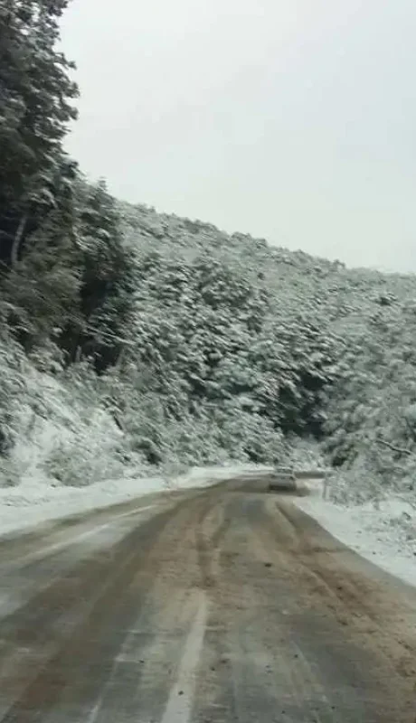 Nevadas en Mendoza: rutas cortadas y extrema precaución en zonas de montaña