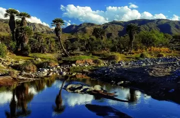 Un destino único para disfrutar el invierno sin nieve: 6 parques imperdibles