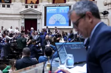 Presentaron en Diputados un nuevo proyecto sobre Ficha Limpia