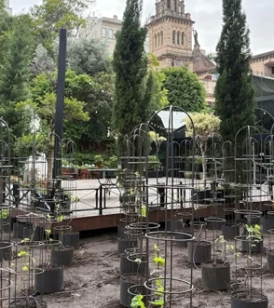 Buenos Aires esconde una joya enoturística que está revolucionando la oferta de atractivos de la capital argentina.