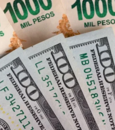 El Gobierno se hizo de dólares con un bono en pesos