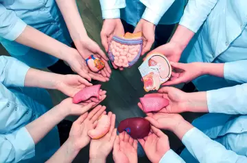 Día Nacional de la Donación de Órganos: ¿por qué se conmemora hoy?