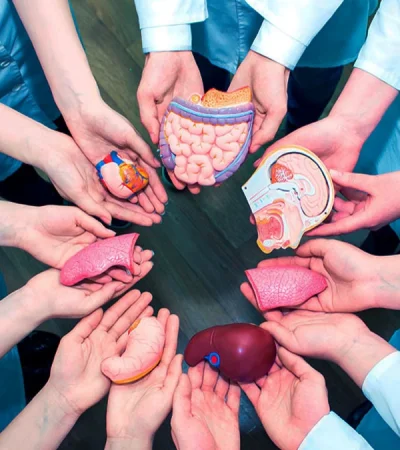 Un solo donante puede salvar hasta siete vidas.