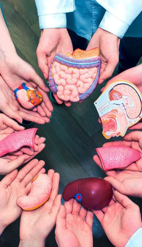 Un solo donante puede salvar hasta siete vidas.