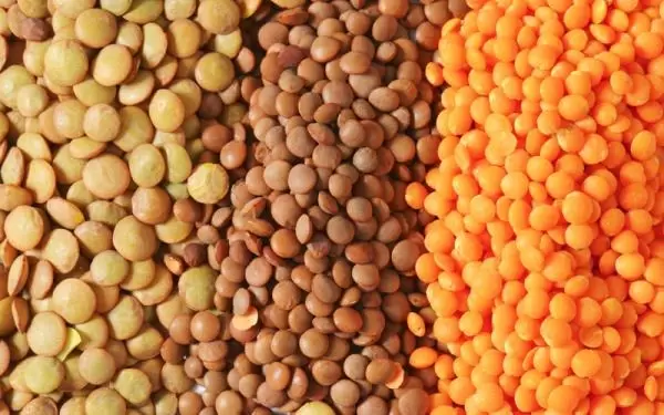 Lentejas