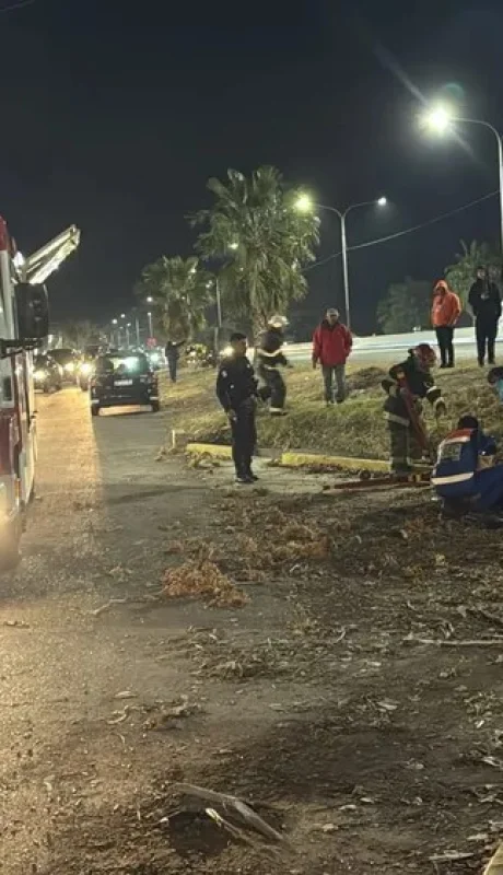 Video: un adolescente y un adulto murieron tras un brutal choque y vuelco en Maipú