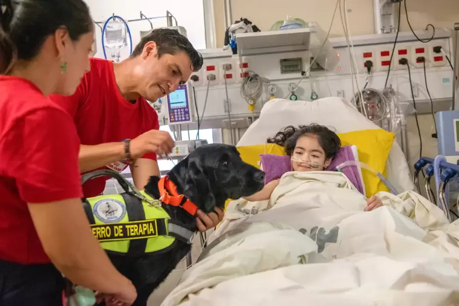 La salud infantil vista desde diversos ángulos