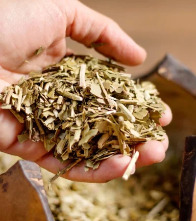 Yerba Mate