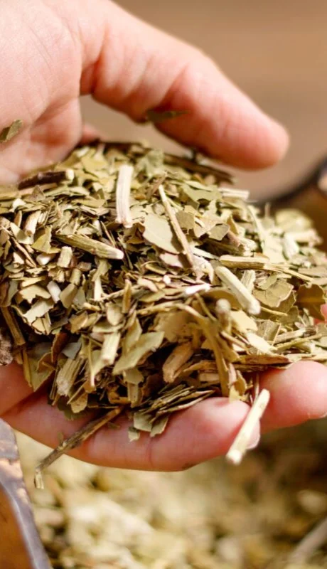 Yerba Mate