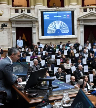 "No estamos ante una duda reglamentaria. Es una situación política que tiene que resolver la comisión", argumentó Menem.
