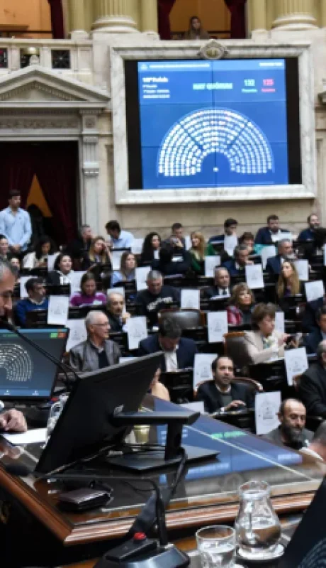 "No estamos ante una duda reglamentaria. Es una situación política que tiene que resolver la comisión", argumentó Menem.
