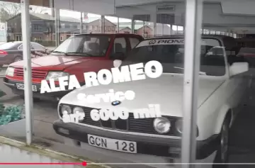 Más de 100 autos clásicos abandonados en una concesionaria cerrada hace 20 años