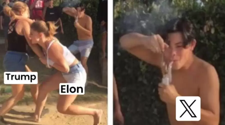 Memes de la batalla entre Donald Trump e Elon Musk.