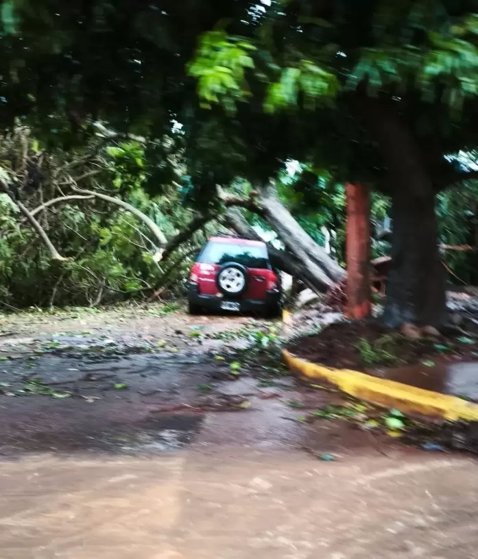 Destrozos materiales en Puerto Iguazú por el temporal. (Foto: Redes sociales)