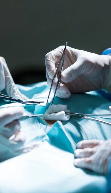 La Ley Justina tuvo un gran impacto.