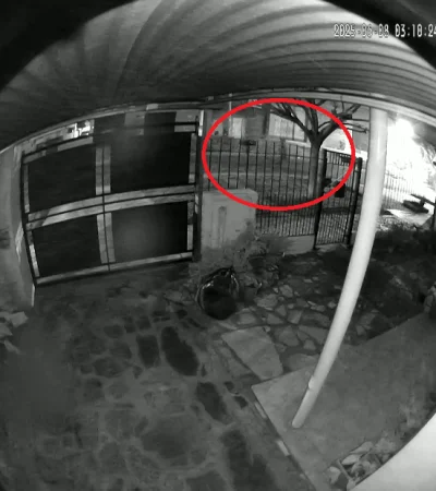 Captura de video.