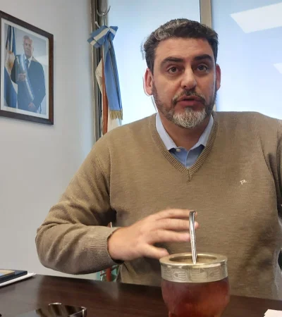 Presidente provisional de la Cámara de Senadores, Martín Kerchner Tomba.