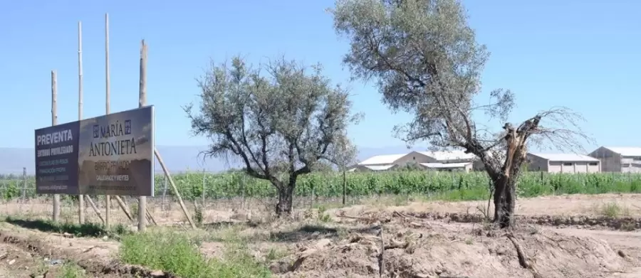 Diversos especialistas en que el avance urbano sobre las tierras productivas es uno de los problemas que persisten.