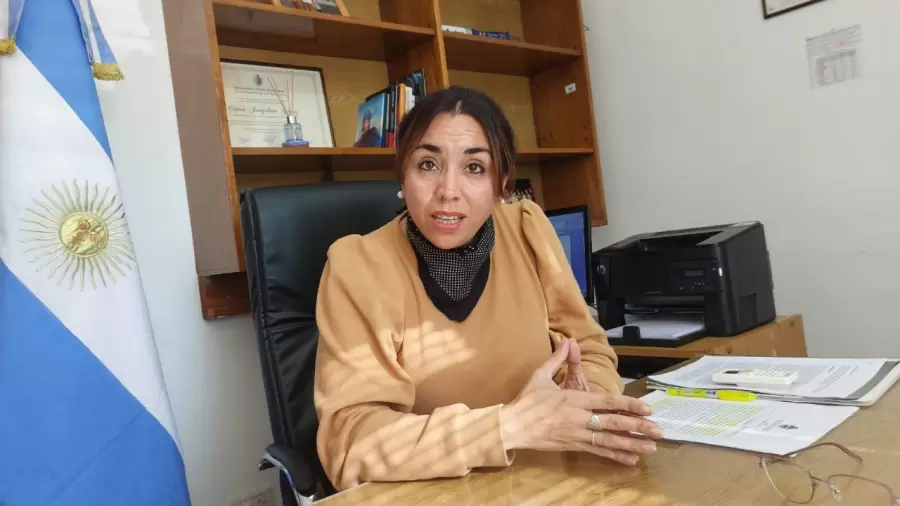 La diputada explicó su proyecto en El Interactivo.