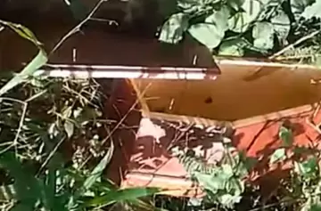 ¿Broma macabra o mensaje mafioso? Hallaron un ataúd de bebé cerca de una escuela