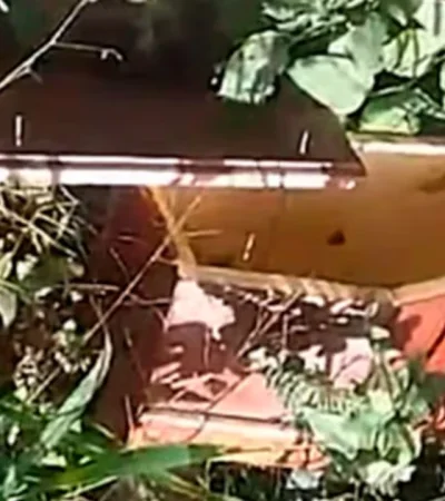 El ataúd, de tamaño pequeño y vacío, fue hallado cerca de una escuela pública. (Foto: web)