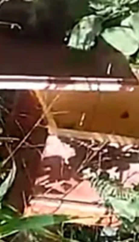 El ataúd, de tamaño pequeño y vacío, fue hallado cerca de una escuela pública. (Foto: web)