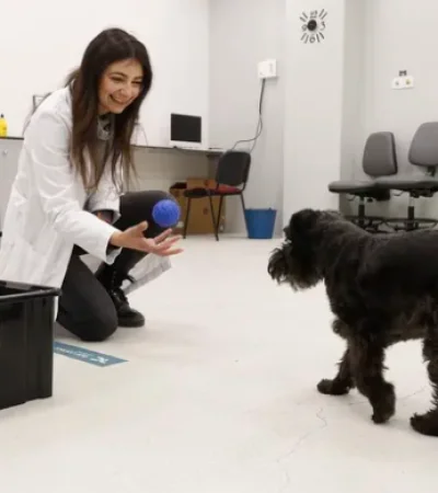 Los etólogos explican que  lo más frecuente en perros y gatos son problemas de agresividad y ansiedad por separación.