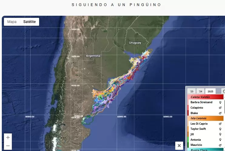 El proyecto comenzó como una manera creativa de acercar la ciencia a nuevos públicos.
