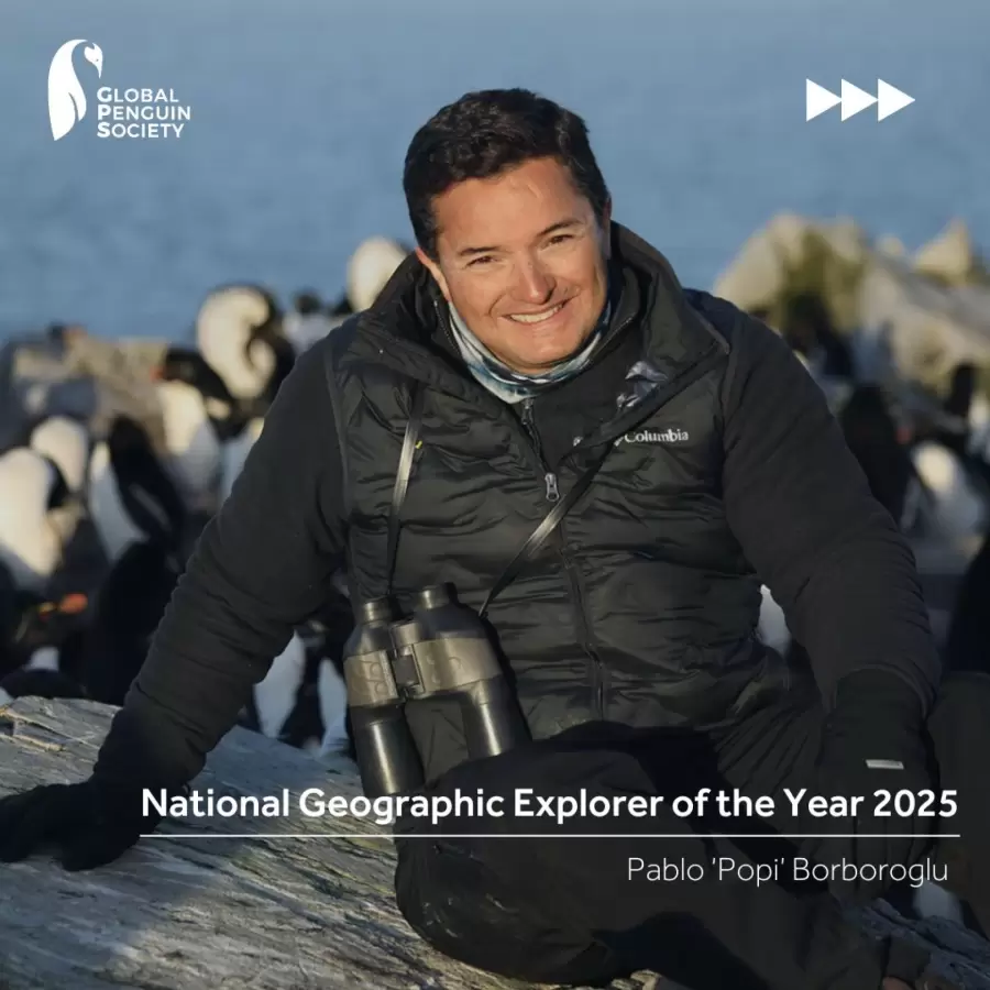 Pablo Borboroglu fue nombrado Explorador del Año Rolex National Geographic 2025.