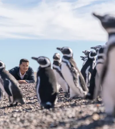 Pablo García Borboroglu es biólogo marino e investigador.